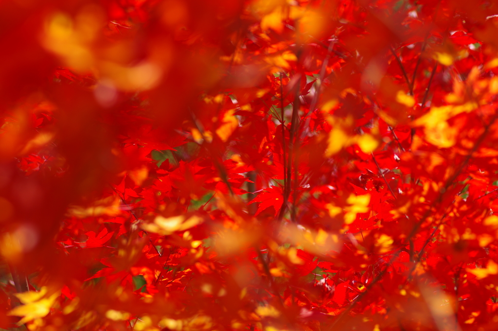 寂地峡２０１７－２