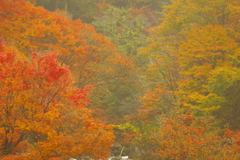 夫婦で紅葉狩り