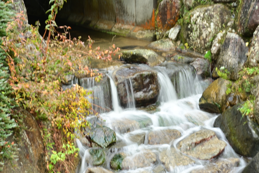 夫婦で紅葉狩り