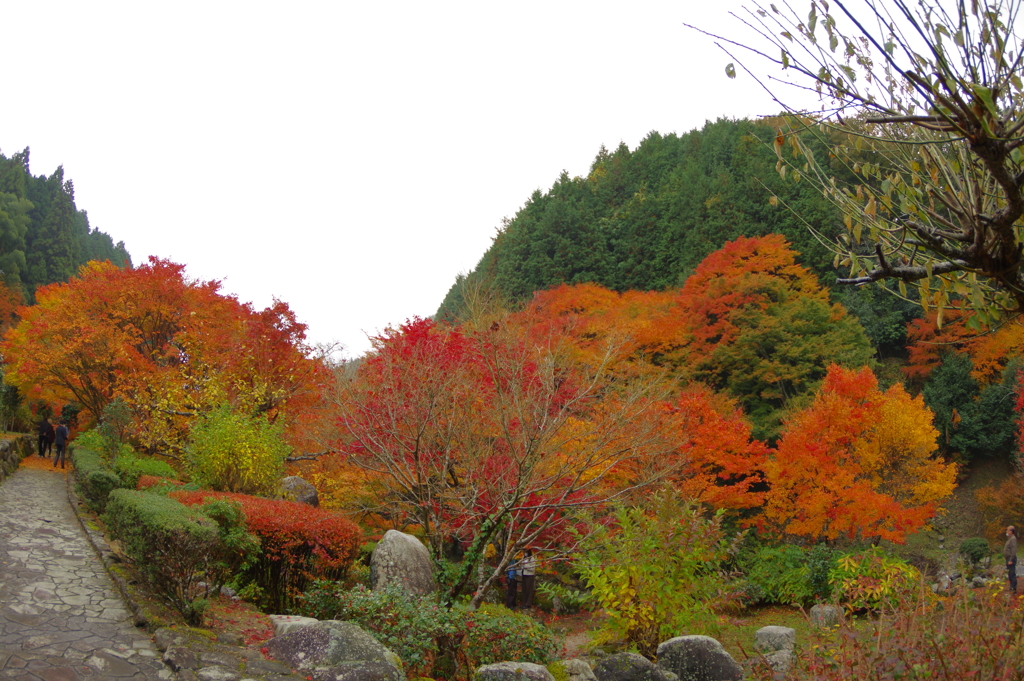 夫婦で紅葉狩り