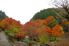 夫婦で紅葉狩り