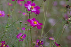 仕事帰りに 仕事帰りに