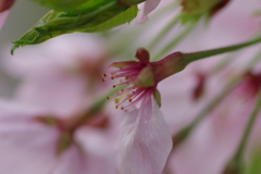 あとひと踏ん張り