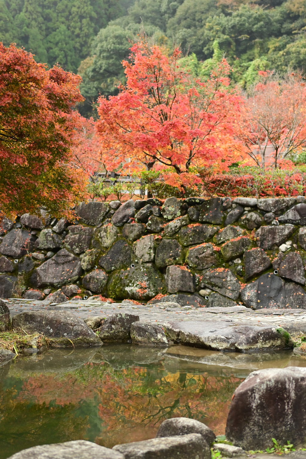 夫婦で紅葉狩り