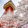 八幡山公園