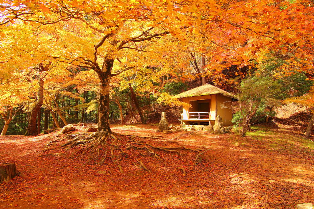 吉野山・西行庵