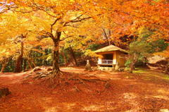 吉野山・西行庵