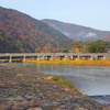 渡月橋
