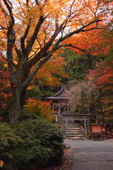 金峰神社