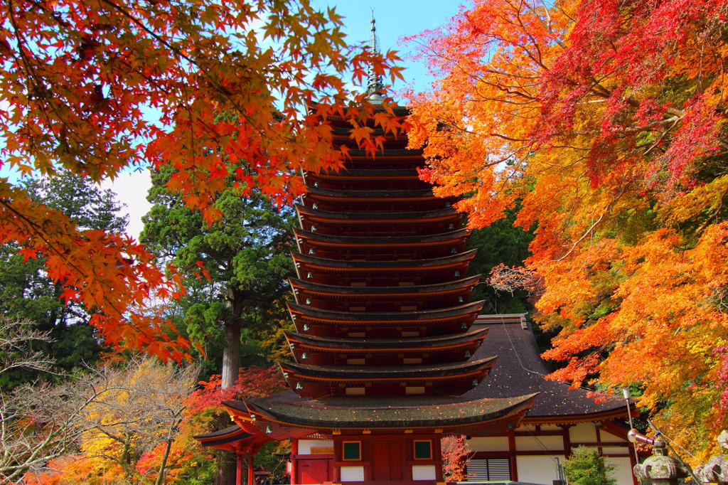 談山神社の紅葉2