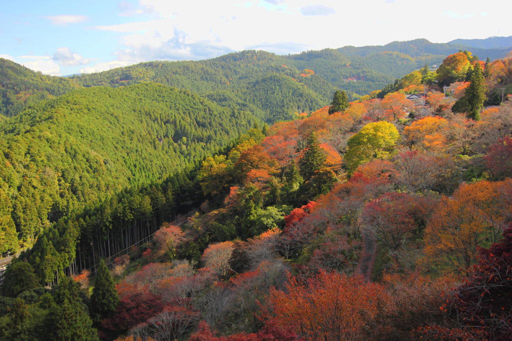 吉野の山々