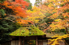 法然院