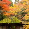 法然院