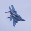 航空観閲式2