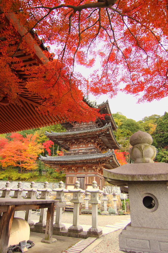 壺阪寺