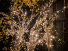 Marunouchi　illuminations Ⅱ