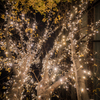 Marunouchi　illuminations Ⅱ