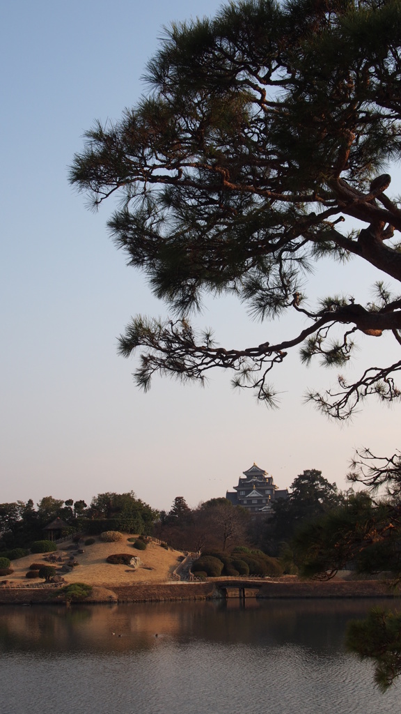 あちらに見えるが岡山城