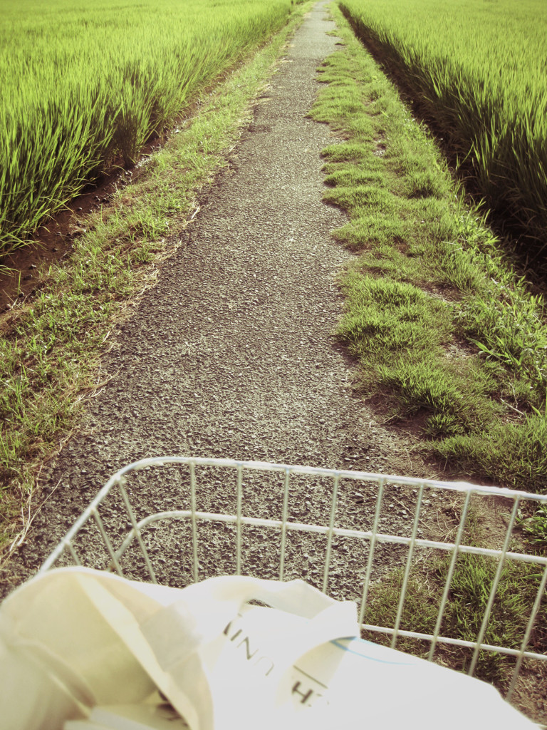 帰り道