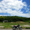 初夏の頃