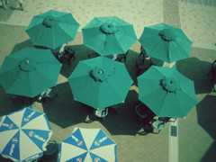 太陽傘傘