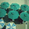 太陽傘傘