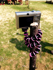 ゴリラの可能性