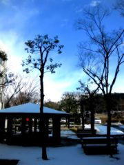 雪の降る町を 雪の降る町を