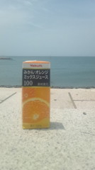 うみおれ