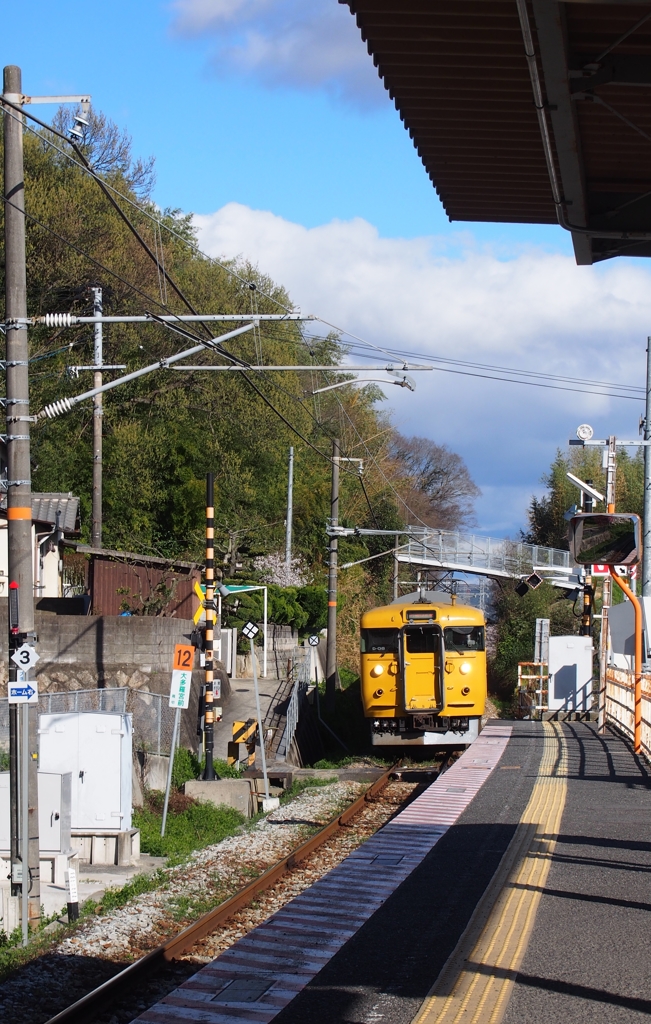 黄色い電車