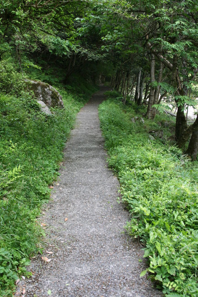 過酷な散歩道