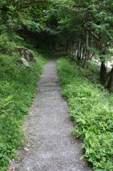 過酷な散歩道