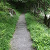 過酷な散歩道