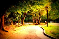 クランクイン記念