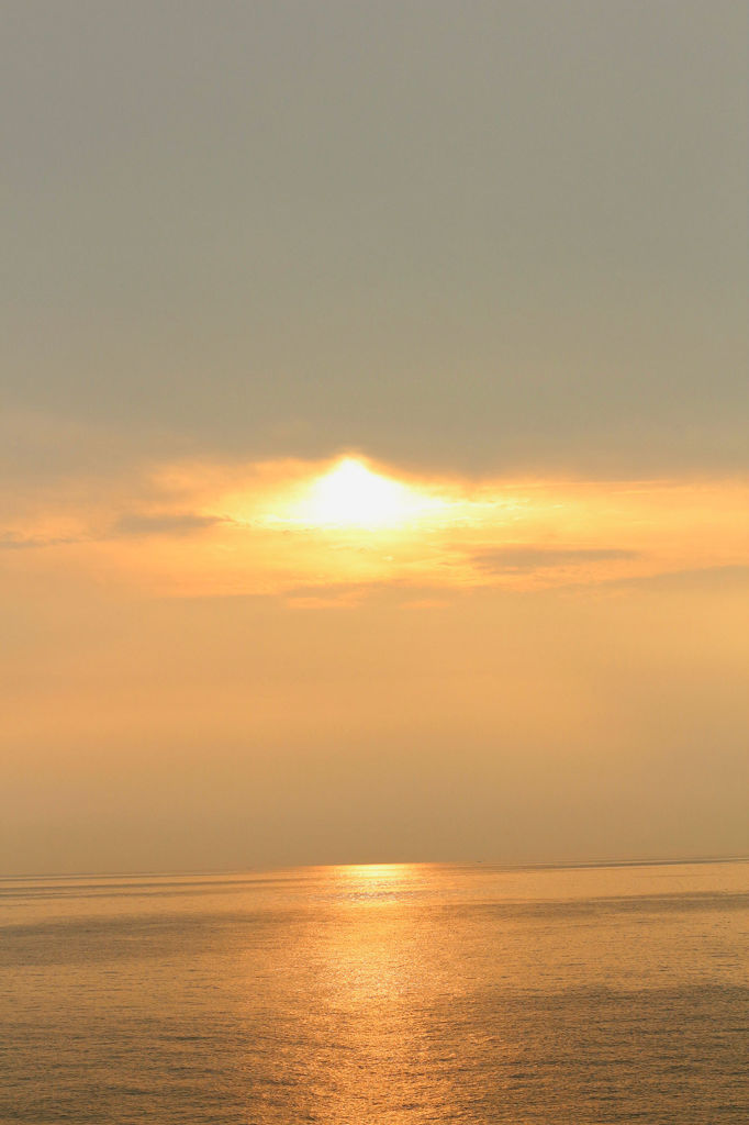 やっと出てきた夕方の光