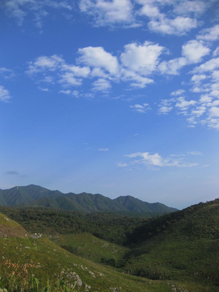 朝の秋吉台