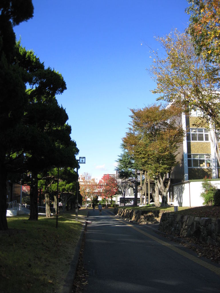 人文から図書館への道
