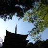 瑠璃寺