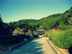 瑠璃光寺にて