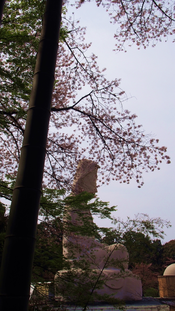 仏様の横顔