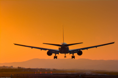 夕暮れのJAL