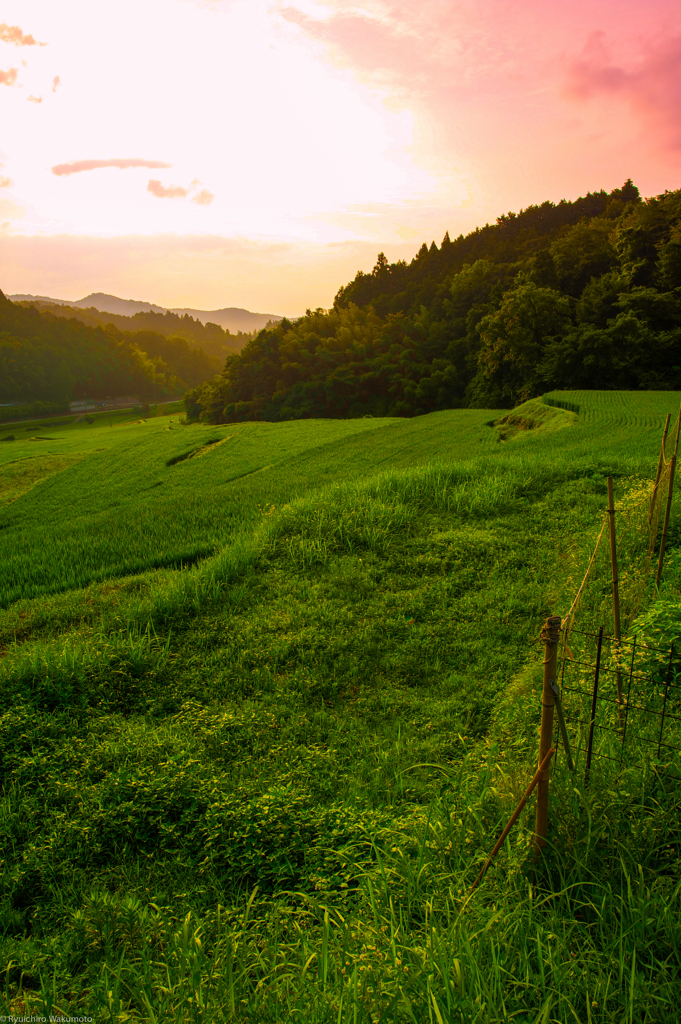 ケルトの夕暮れ