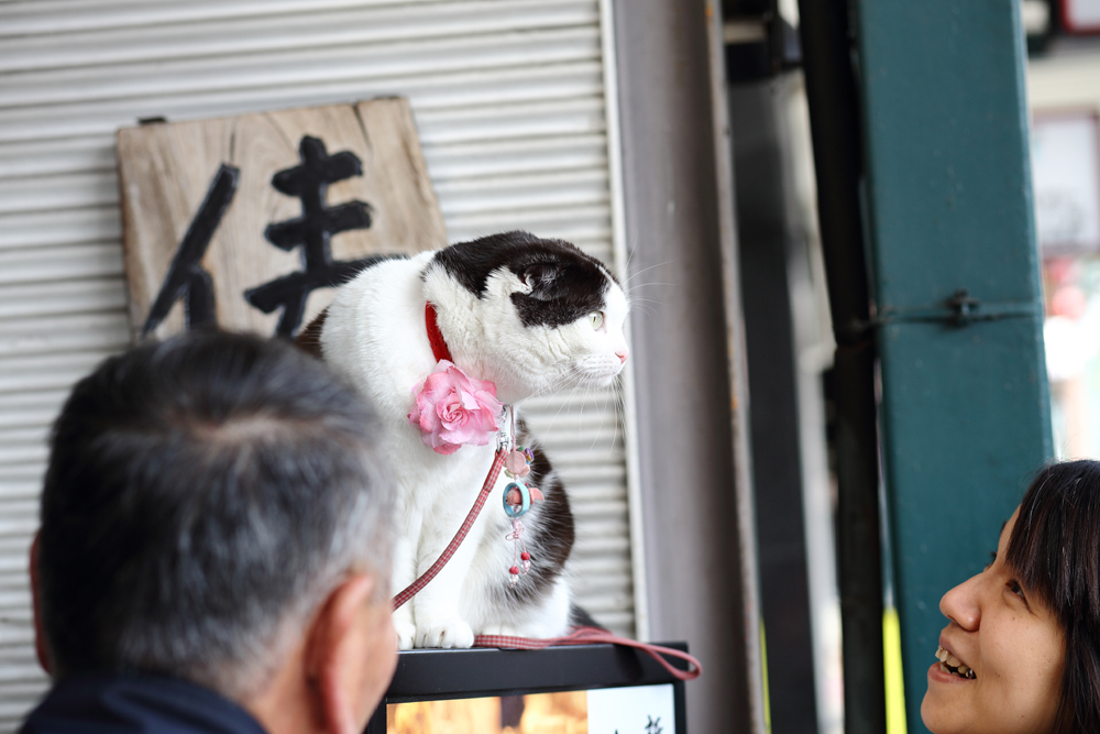 愛される看板娘