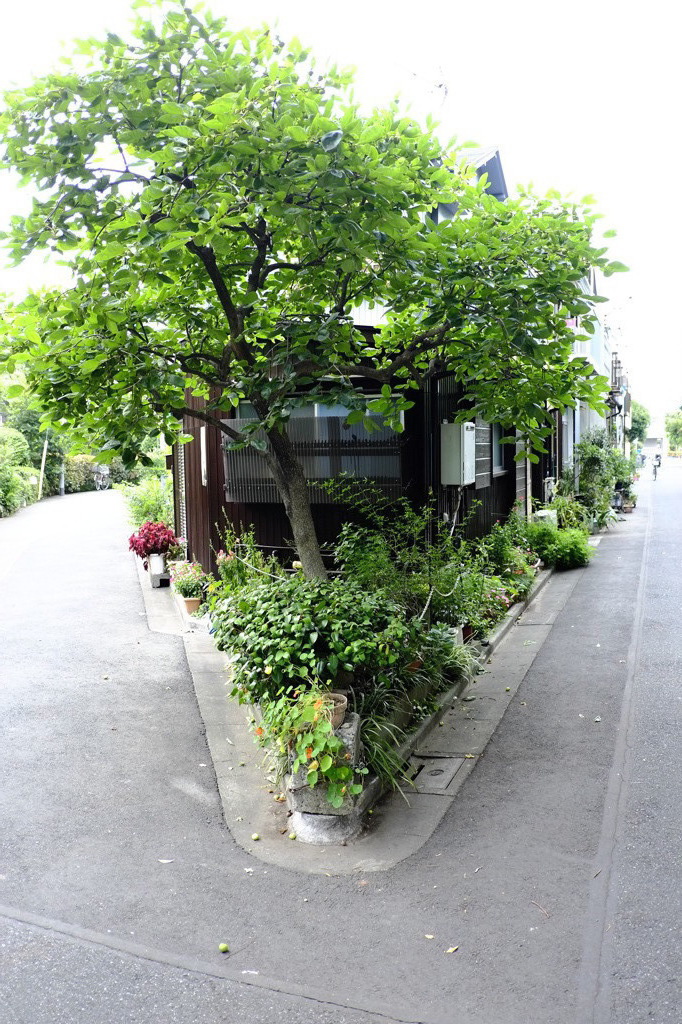 新小岩の家