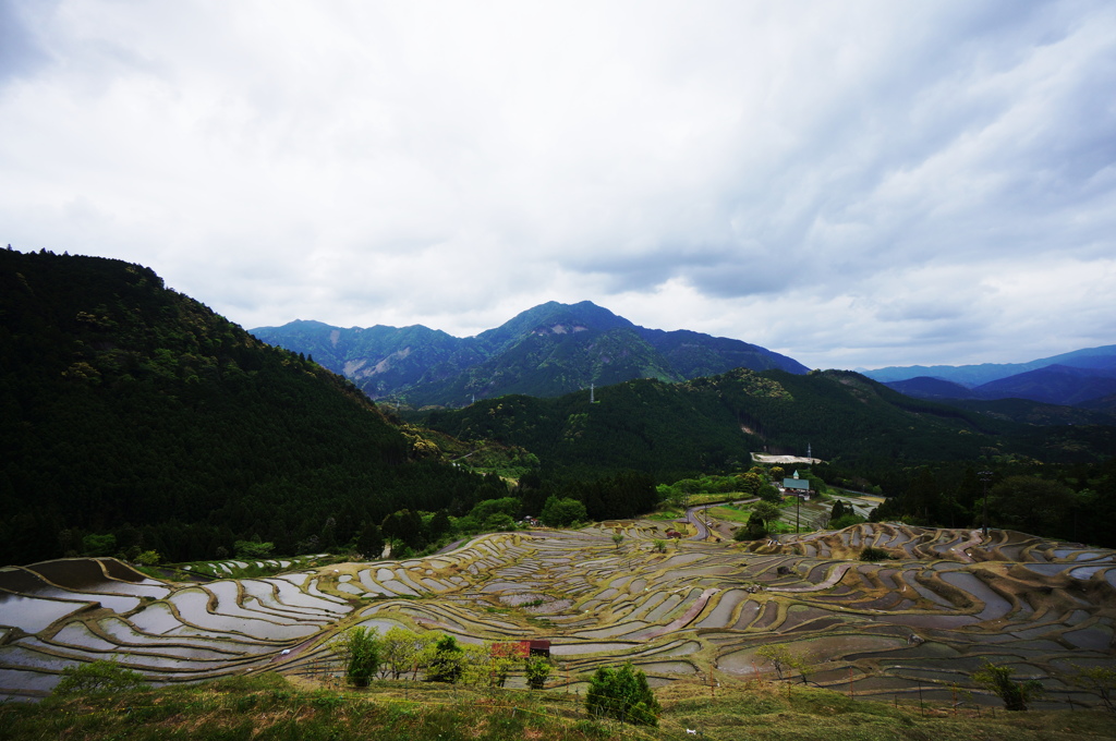 山田