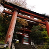 秋の鳥居