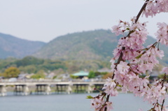 渡月橋