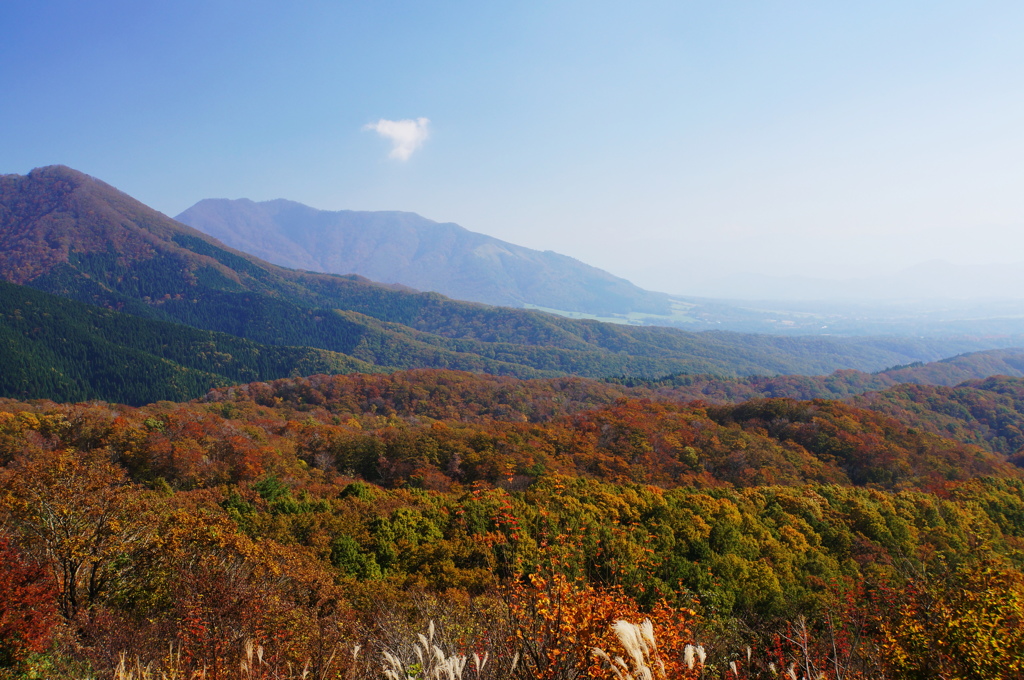 山の紅葉