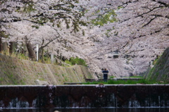 記念に一枚