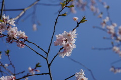 青空